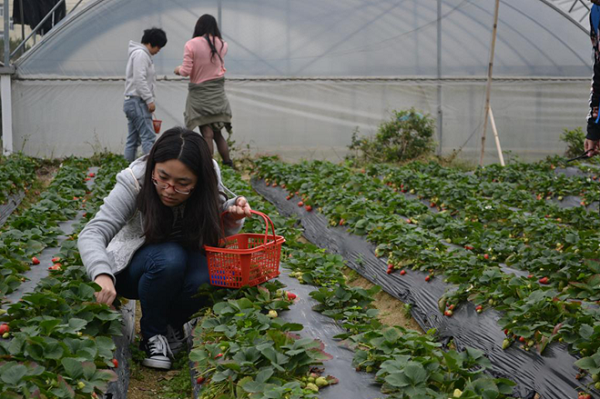 智博体育在线app官网举办三月员工生日活动