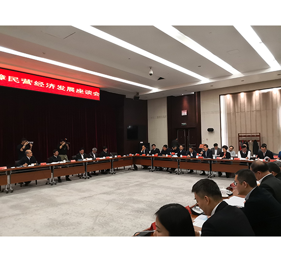 全国人大代表、智博体育在线app官网董事长熊建明参加检察机关服务保障民营经济发展调研座谈会