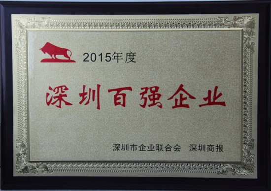 智博体育在线app官网连续十年蝉联“深圳百强企业”