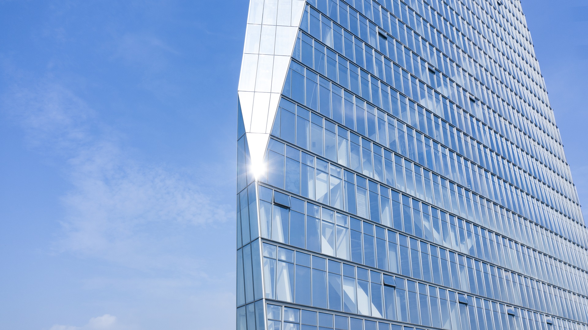 智博体育在线app官网