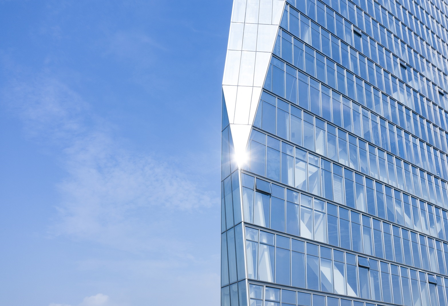 智博体育在线app官网