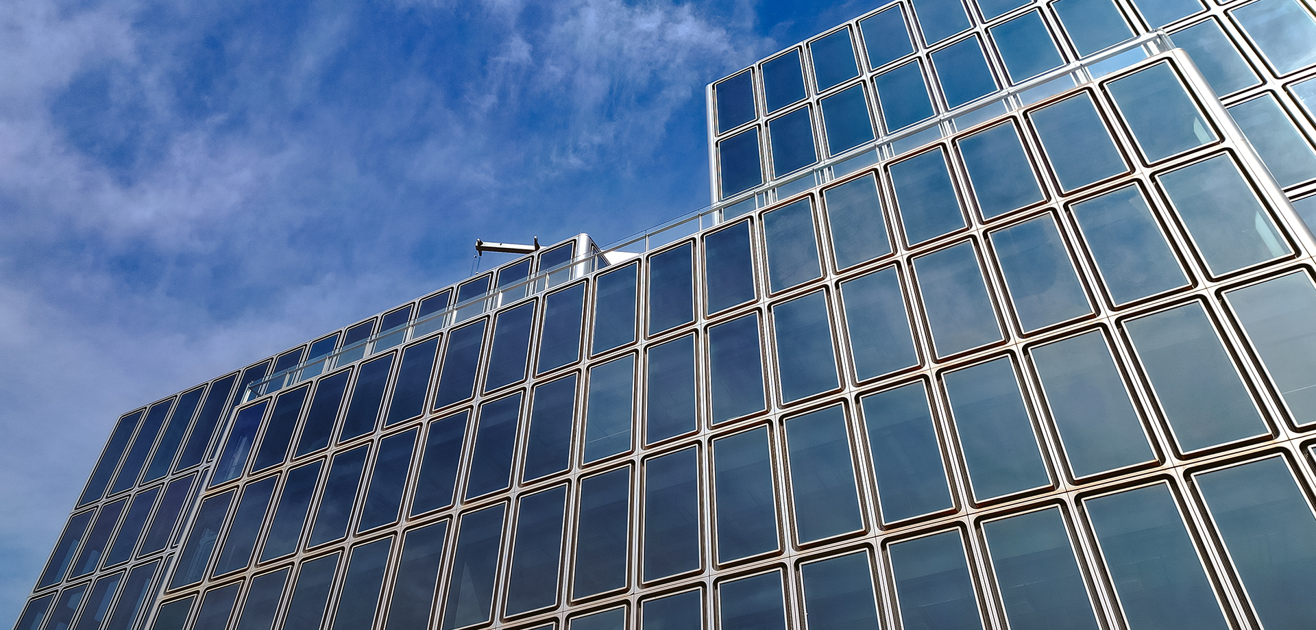 智博体育在线app官网